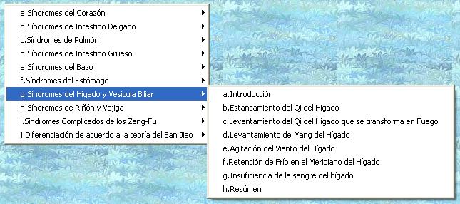 Herramientas Sindromes Higado y Vesicula.JPG